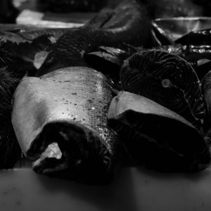 Oceanchild | Lillian | Photography 1030