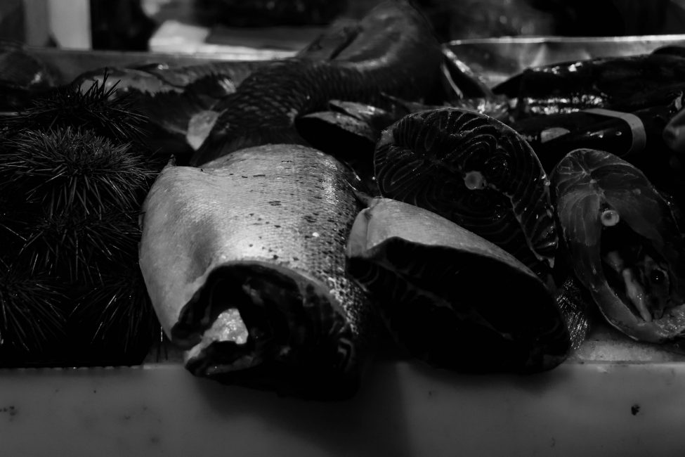 Oceanchild | Lillian | Photography 1030